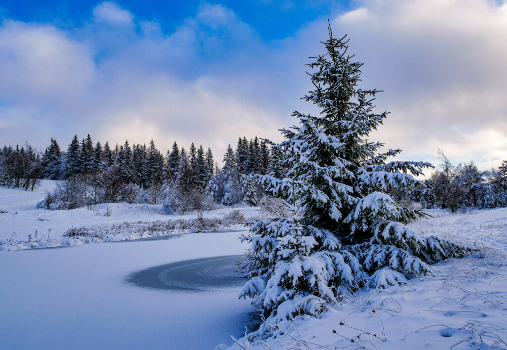Hiver - Belladonna - France